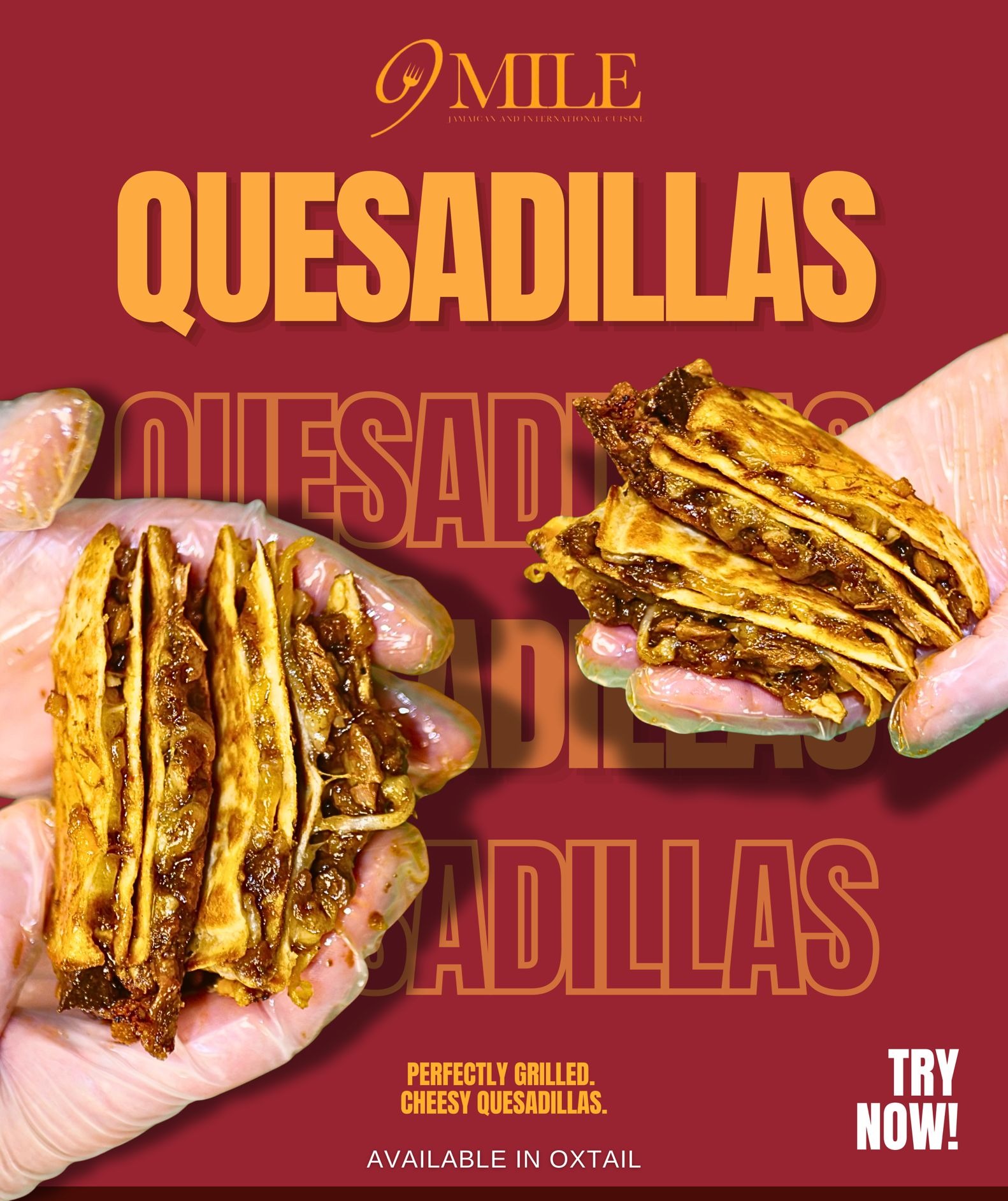 Oxtail Quesadillas